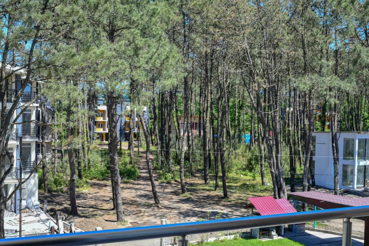 Hotel Molecule Shekhvetili Luaran gambar